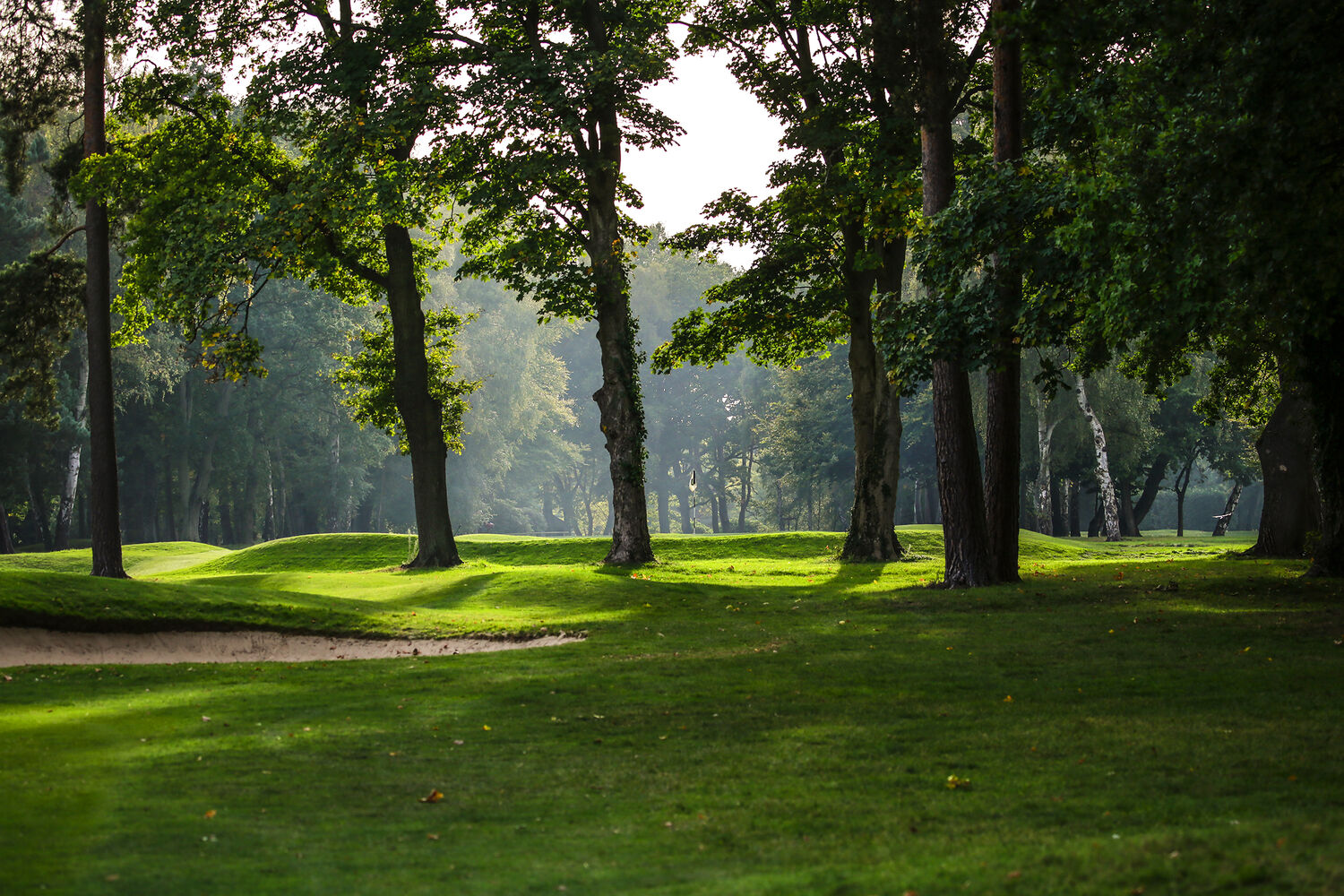 Course slideshow West Byfleet Golf Club